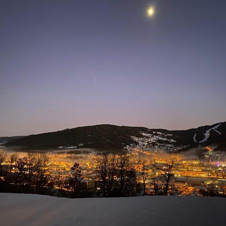 La Cime Des Lacs Gérardmer Eksteriør billede